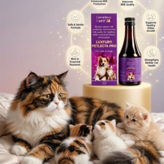 Kito Furr Max Medicated Shampoo Ketoconazole + Chlorhexidine + Cetrimide Formula